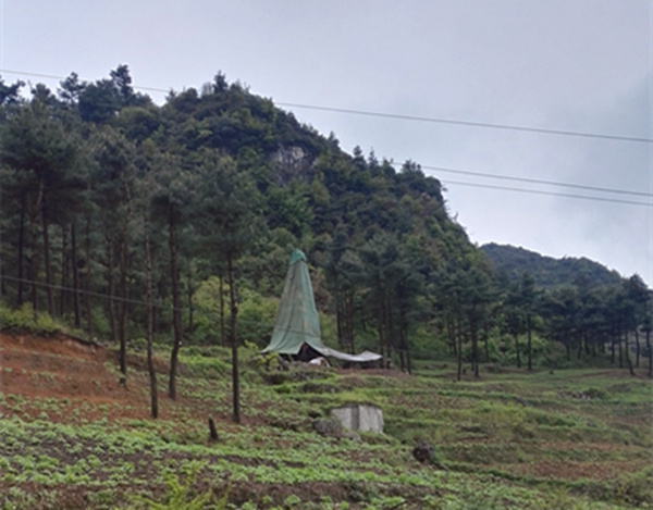 把脈“黔”鋅地，問診開良方