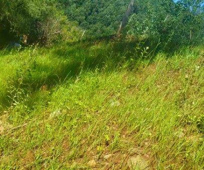 柳關(guān)欒盧鉛鋅礦|治理排土“瘡疤”，繪就綠色畫卷